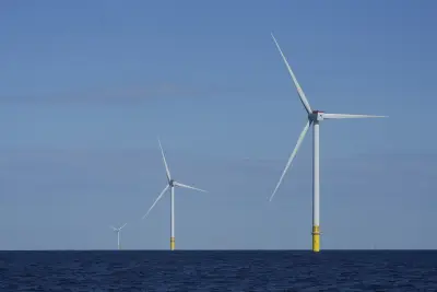 States sue Trump administration for blocking the development of wind energy