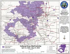 Colorado wolves extend territory toward state’s southern border